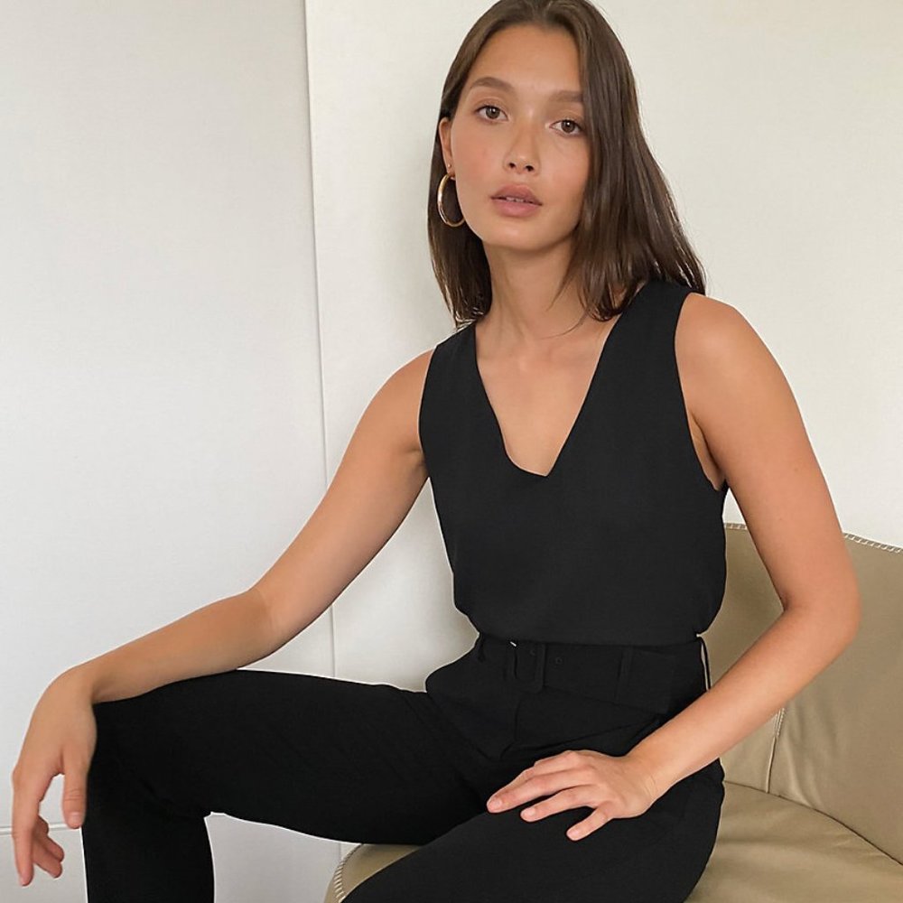 Babaton/Aritzia Murphy Blouse Cropped Top